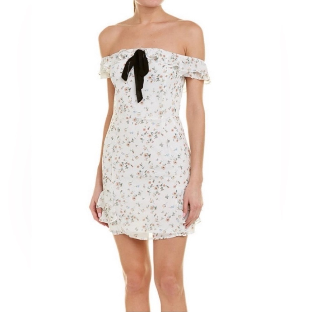 Aiden Floral Mini Dress Women’s Large Ruffle Coquette Cottage Core Bow Romantic